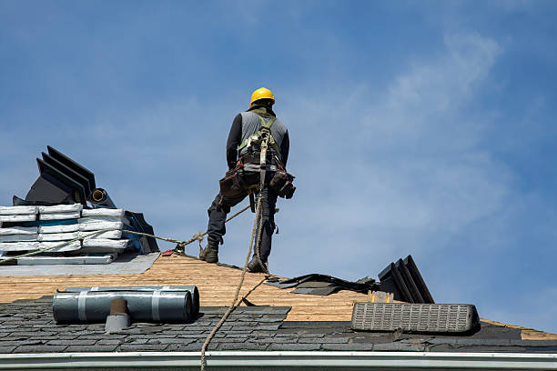 Professional Storm Damage Roof Repair technician working in Bethany, IL